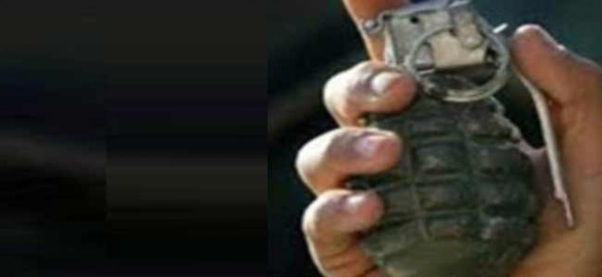 J-K: Grenade found in Pulwama