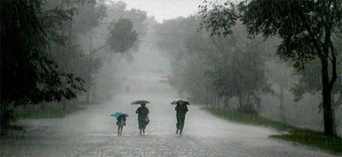 Rain brings respite to farmers