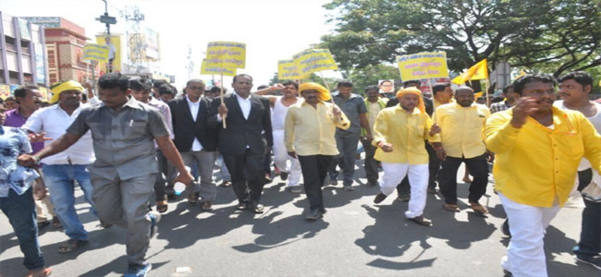 TDP leaders take out rally for Spl status