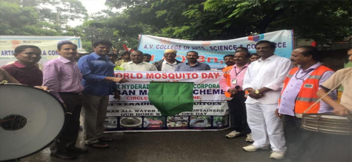 Corporator Srinivas flags off mosquito rally
