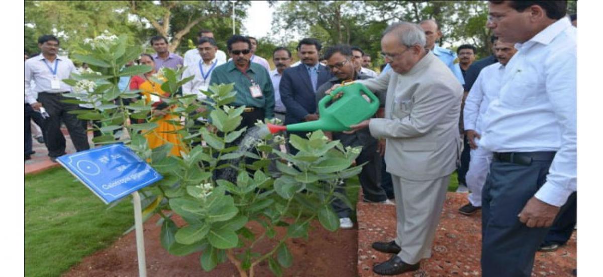 President plants a peepal tree at Rashtrapathi Nilayam