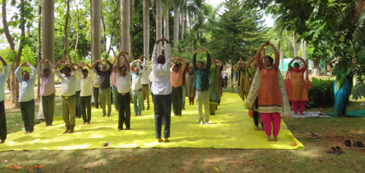 Pilgrim city stretches on Yoga Day