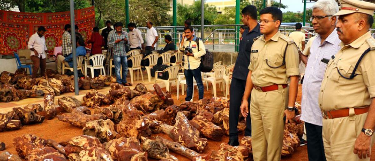 Tirupati police seize red sanders worth 5 cr