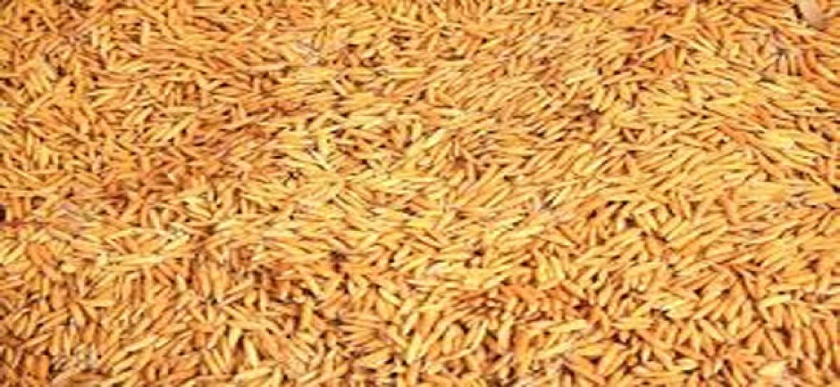 Police raid house illegally storing rice, wheat