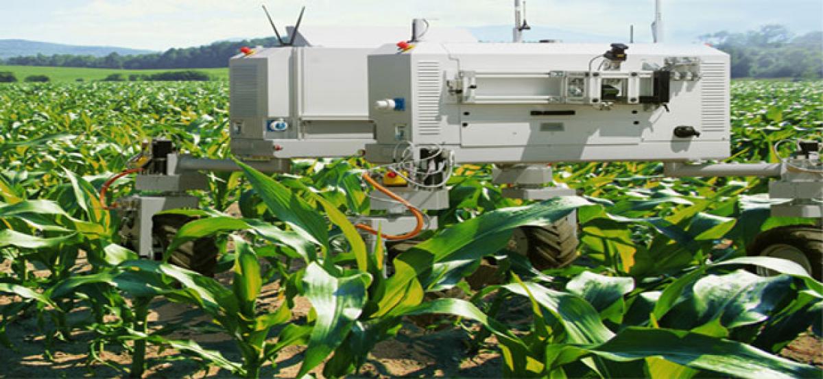 New robot may help in harvesting crops