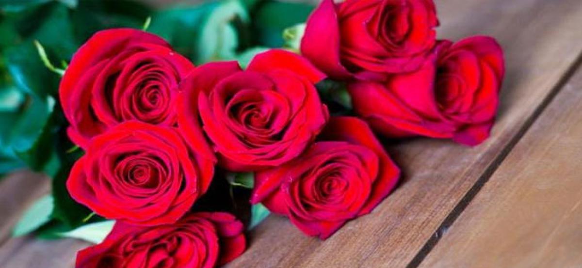 NGO to protest with rose flowers