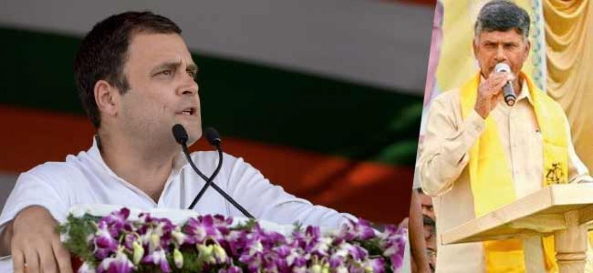 Rahul Takes Soft Corner On Chandrababu In Public Meeting