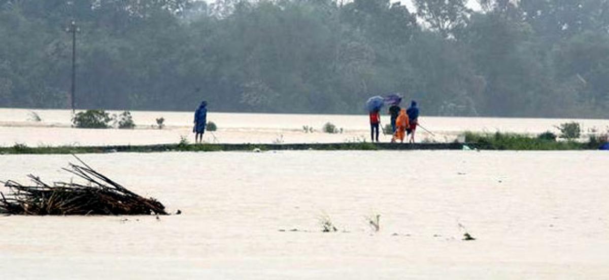 Typhoon Damrey kills 47 in Vietnam