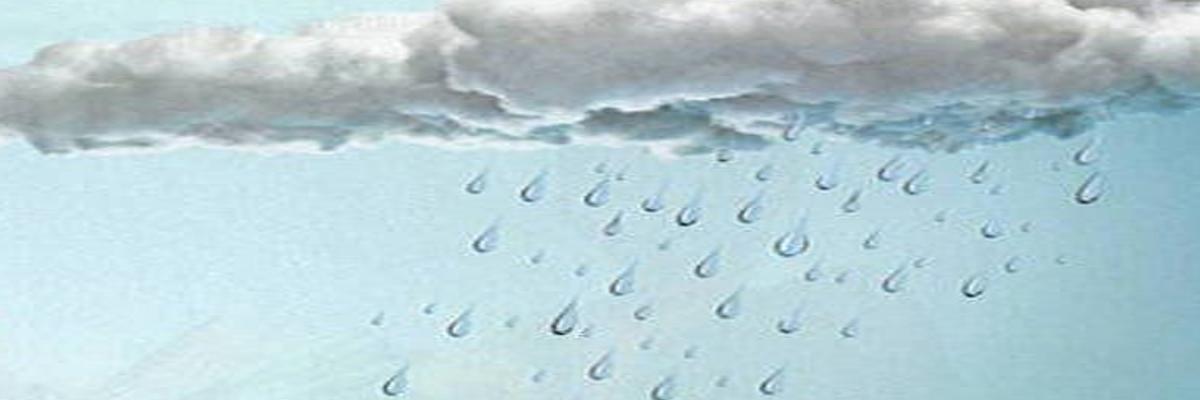 Learn about clouds and rain