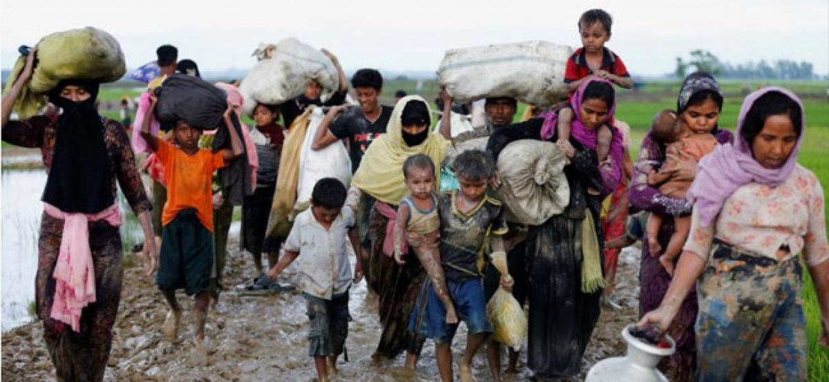 Rohingya Muslims flee as more than 2,600 houses burned in Myanmars Rakhine