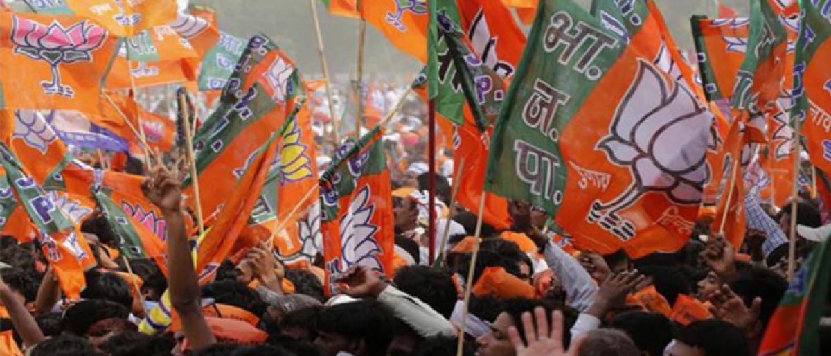 Delhi BJP plans four mega rallies