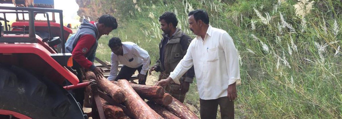 94 red sanders logs worth 50 lakh seized