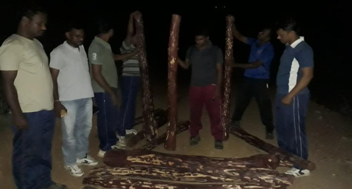 4 smugglers held , 21 red sanders logs seized by RSASTF