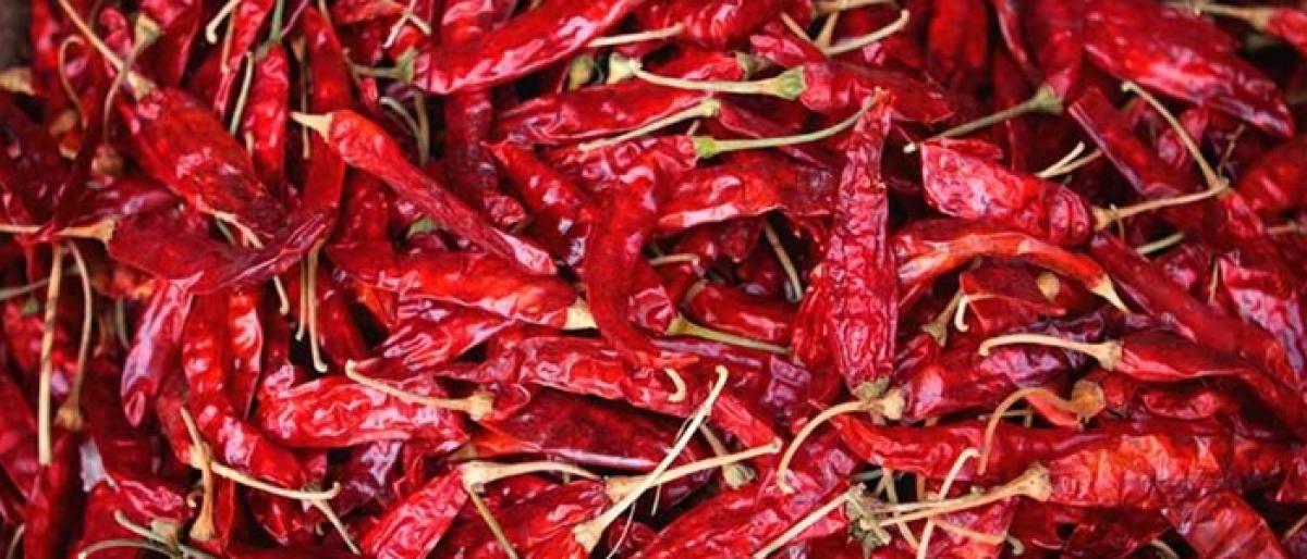 Chilli prices shoot up, bring joy to growers