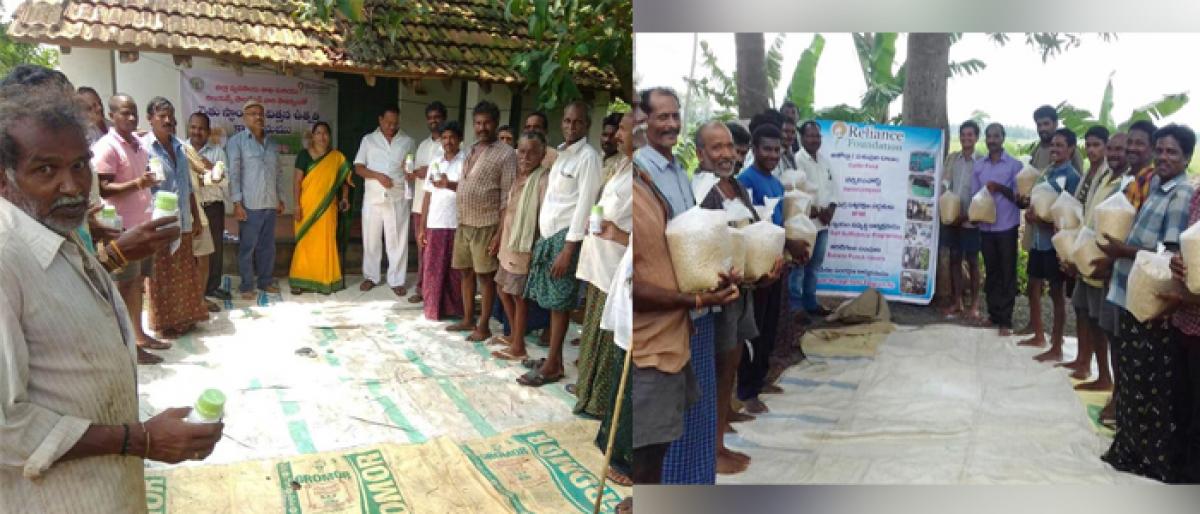 Fertilizers, seeds distributed to farmers sponsored by Reliance Foundation in Pithapuram