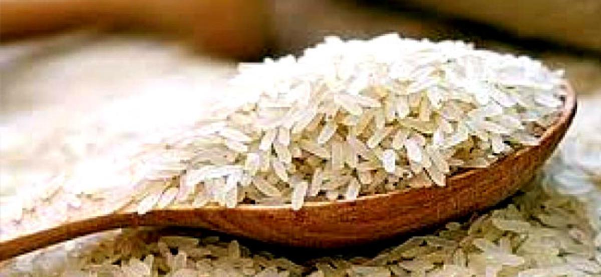 Chinese man gets 10 years in jail in US for trying steal proprietary rice seeds and pass them off to visitors