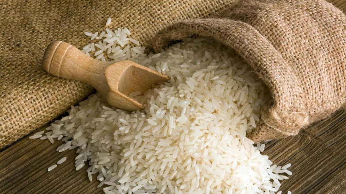 India rice shipments slow as stronger rupee lifts export prices