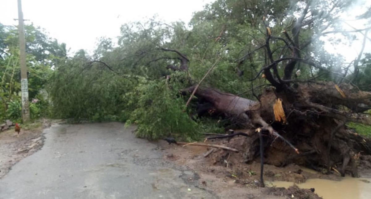 Heavy rains lash agency areas in Vizianagaram