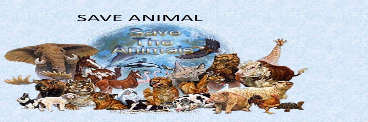 Nalsar, Spanish animal law centres sign MoU