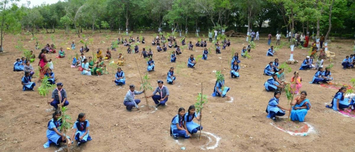 SCCL plants 10L saplings in 10 days