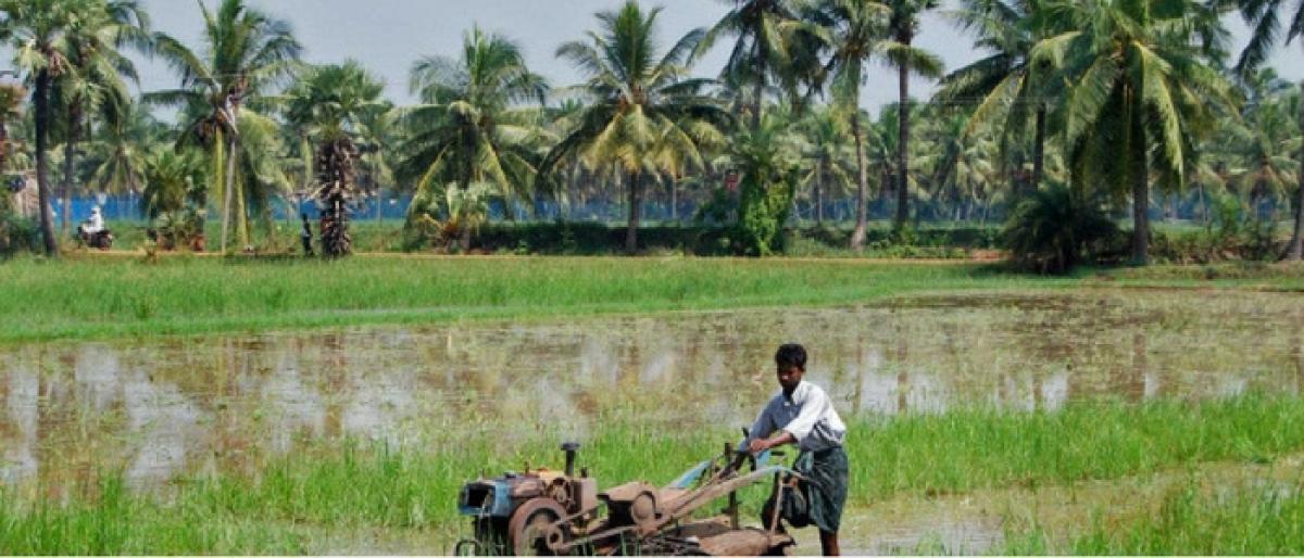 Farmers asked to pay PMFBY premium in time