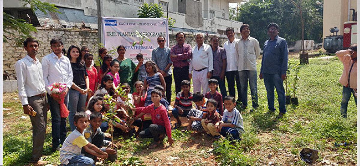 Tree plantation drive held in city