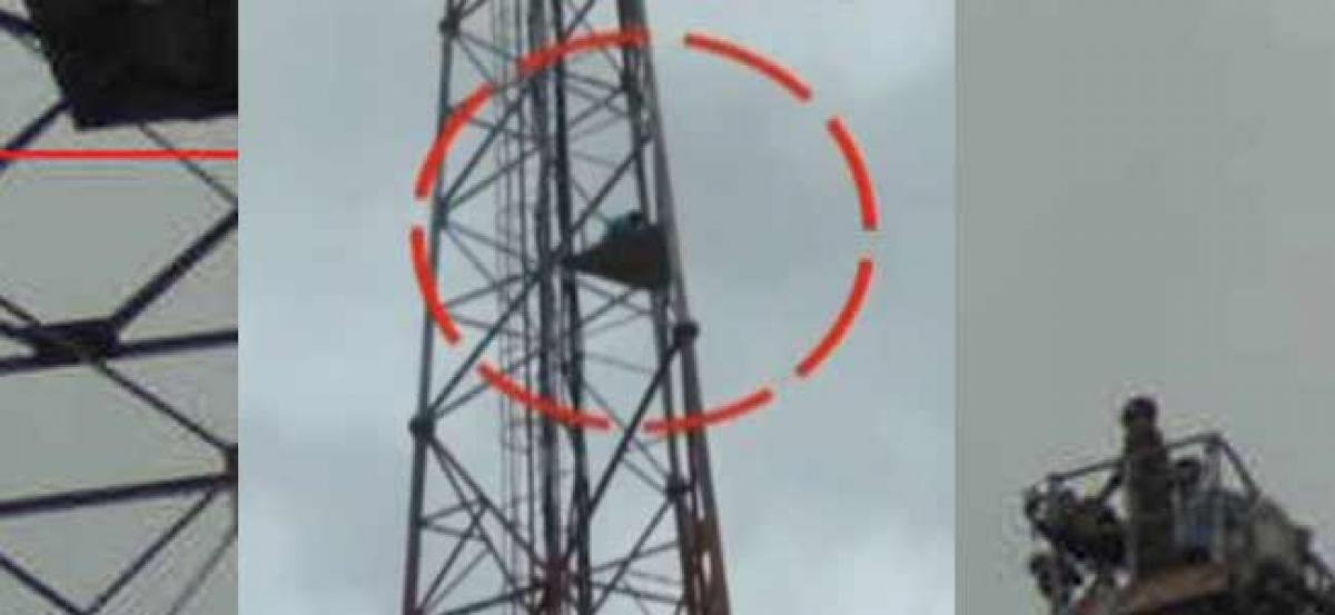 Man from Anantapur climbs cell tower demanding special status to AP