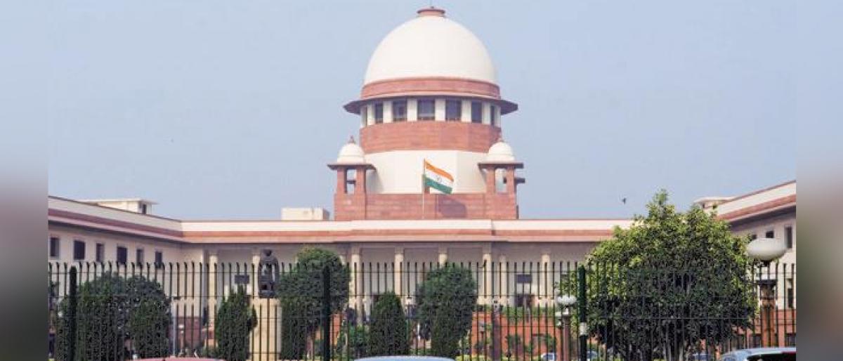 SC asks expert panel to work with dedication