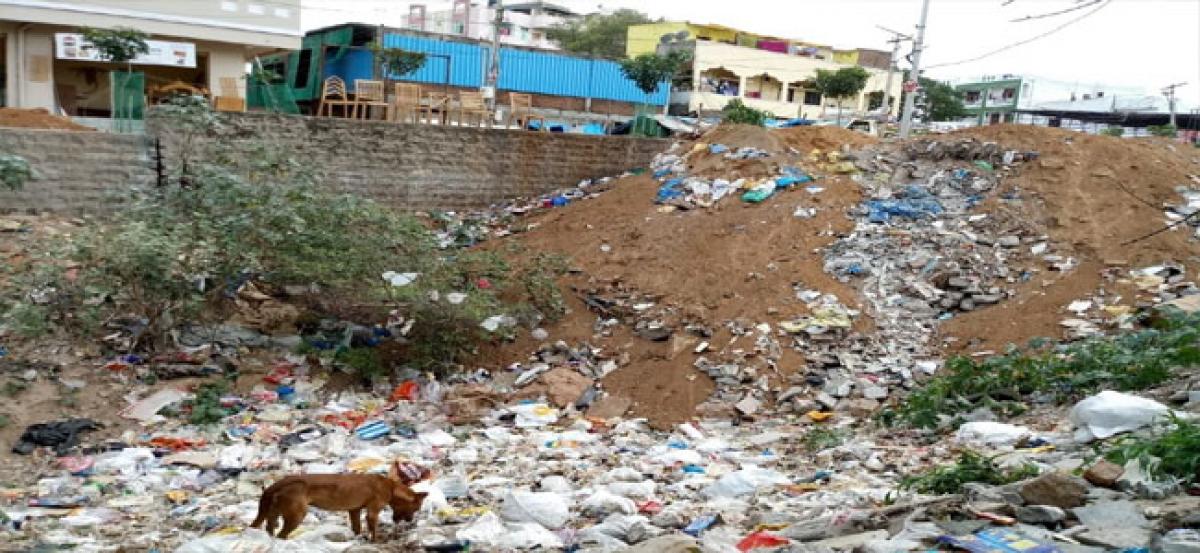 Shaikpet filter beds filled with debris