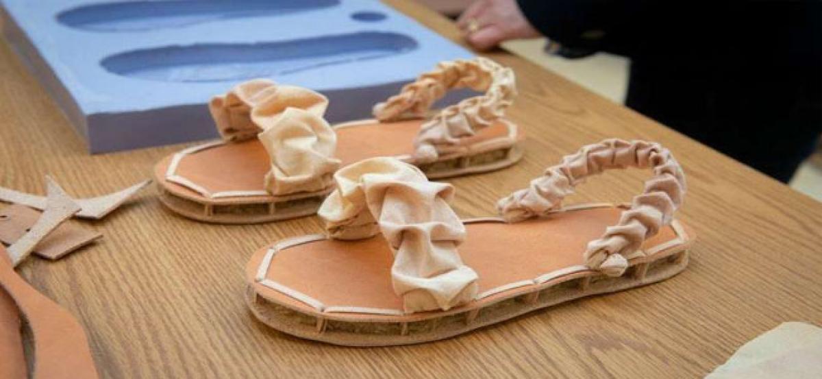Biodegradable shoes made from mushrooms, chicken feathers
