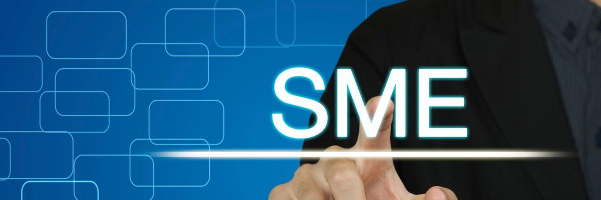 Public credit registry better for SMEs: RBI