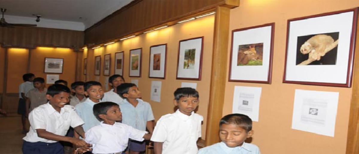 Children’s week at Salar Jung Museum