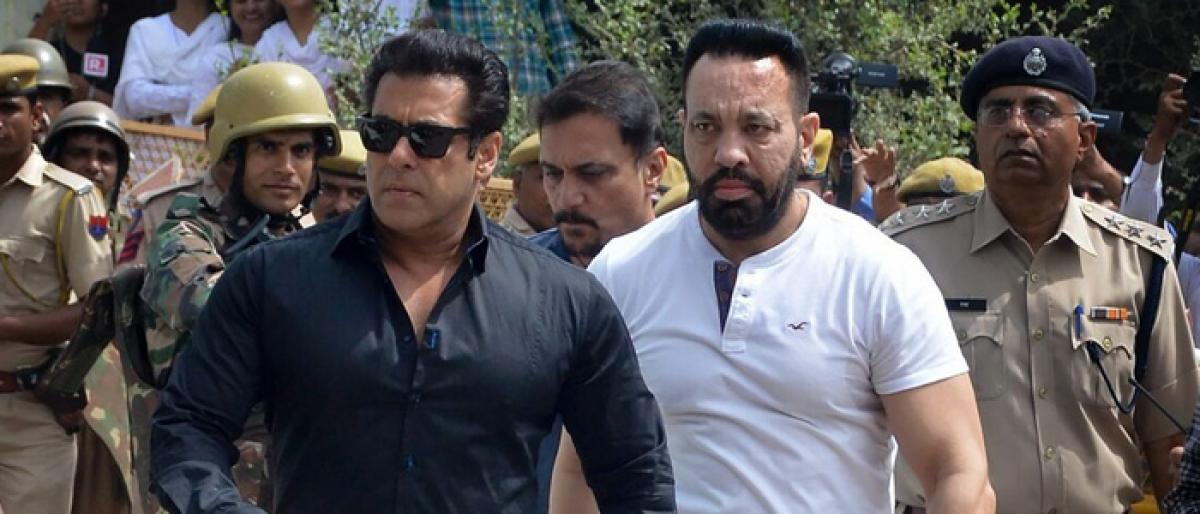 Jail for Tiger Salman in blackbuck case