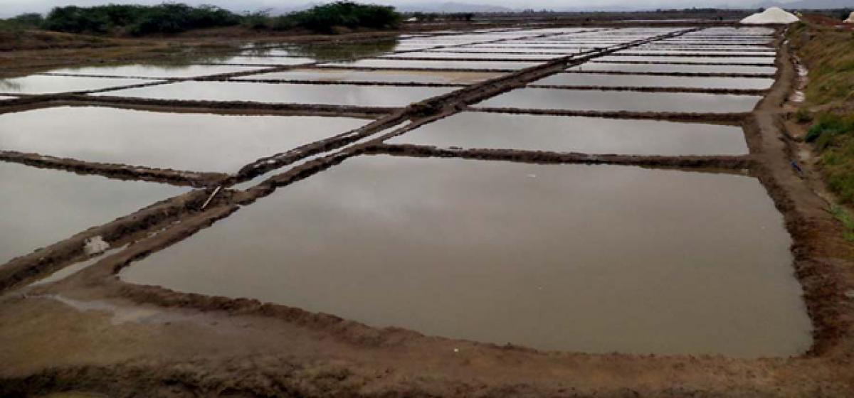 Salt farmers lament laxity by govt