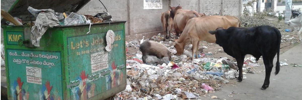 Complaints on poor sanitation unaddressed in Kakinada