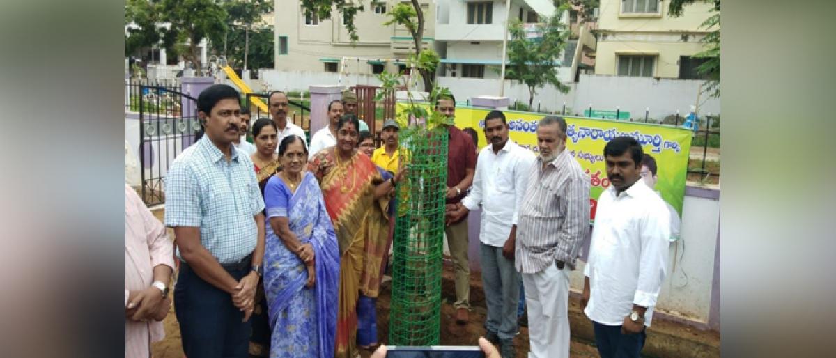Commissioner K Ramesh plants sapling in Kakinada