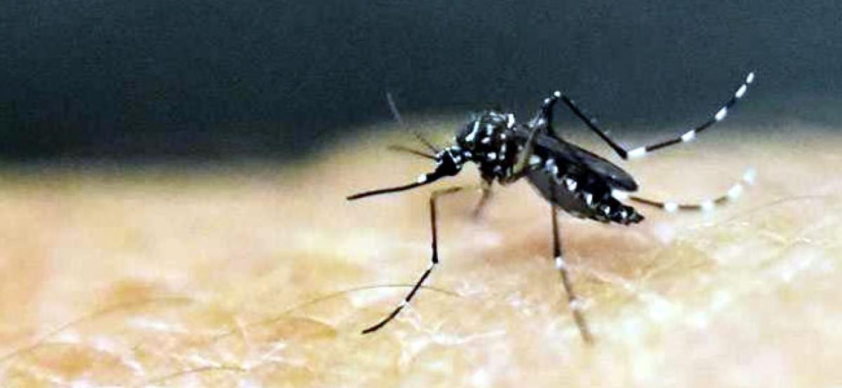 Scientist discover five new malaria vaccine targets