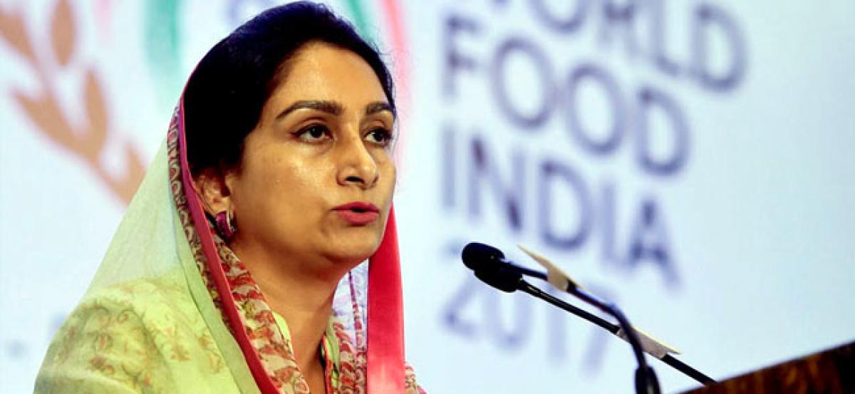 India to Attract USD 10 Billion Investment in Food Processing Sector