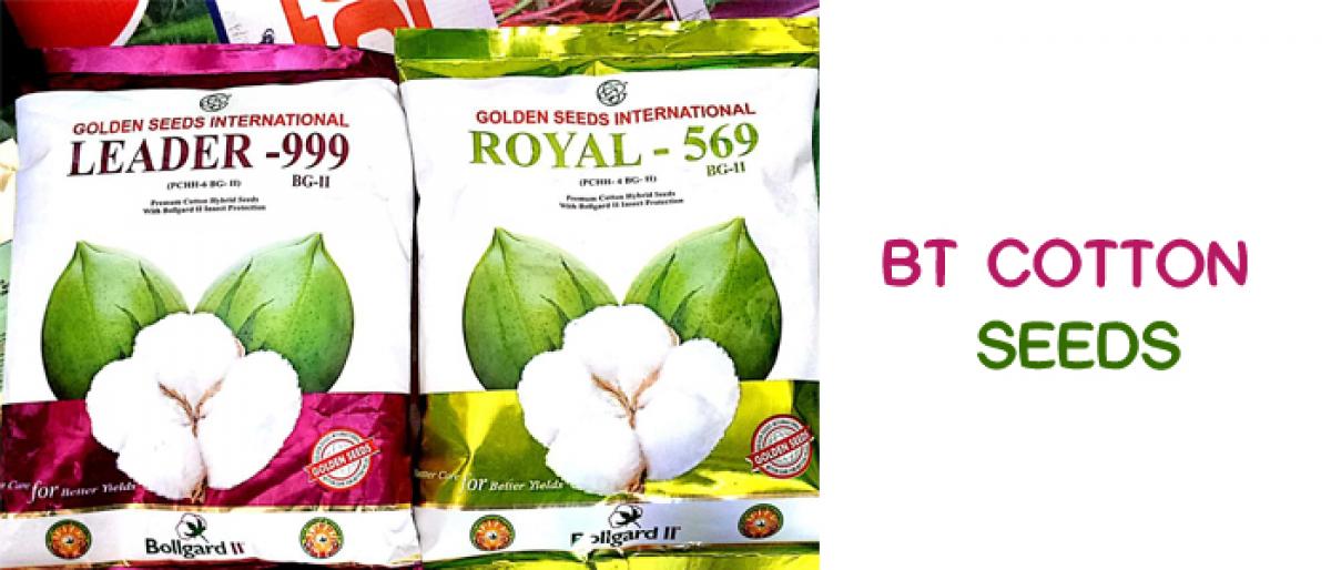 Unauthorized Bt Cotton Seeds worth 1.36 Lakh Seized in Guntur