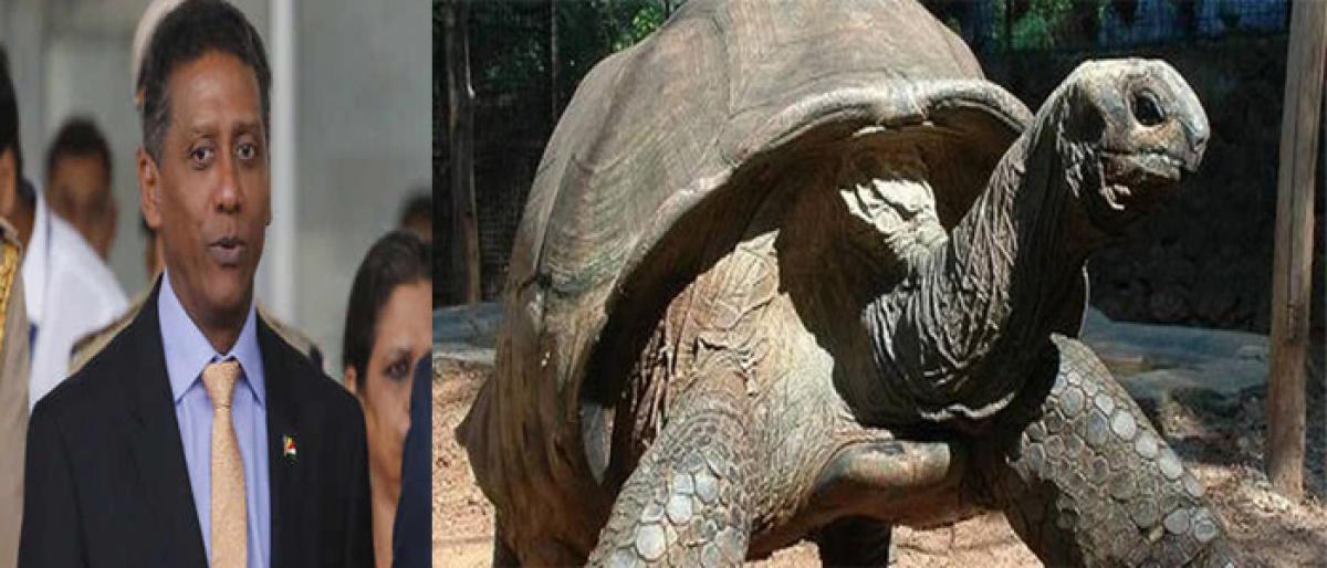 Seychelles president gifts gaint Aldabra tortoises to Hyderabad zoo