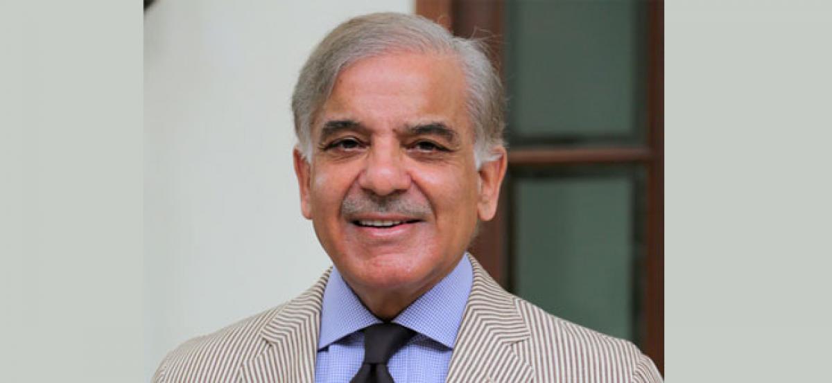 Cant even think of replacing my brother, says Shehbaz Sharif