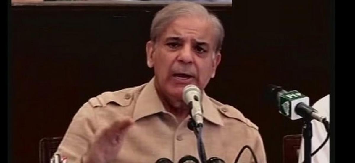 NAB proceedings conducted to push PML-N against the wall: Shehbaz Sharif