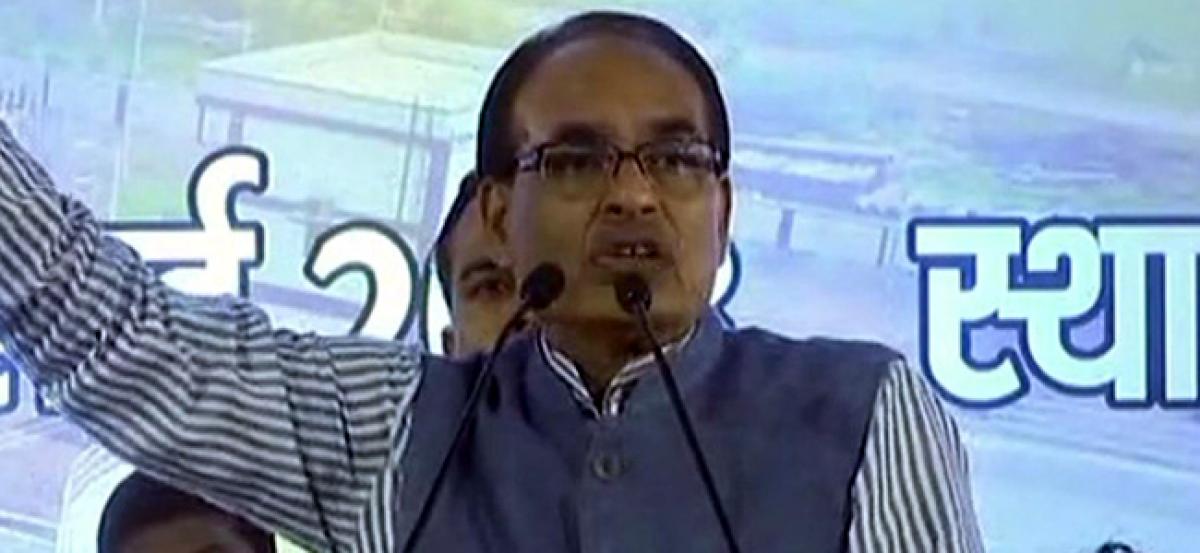 Nal Jal scheme to provide drinking water in every house: Chouhan