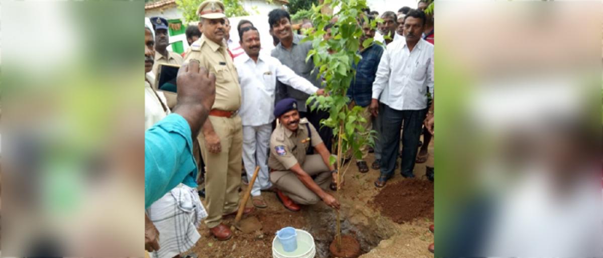DCP plants over 5,000 saplings in Gurrala Gondi