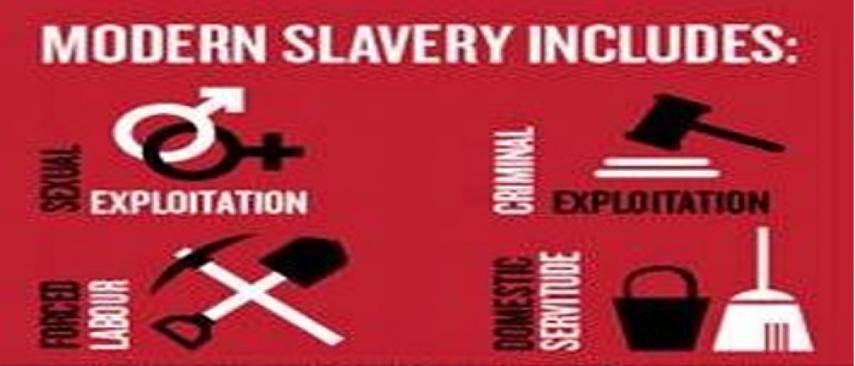 Modern slavery not in govt crosshairs