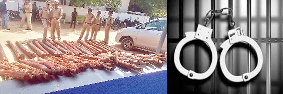 16 smugglers held; logs worth 1 cr seized