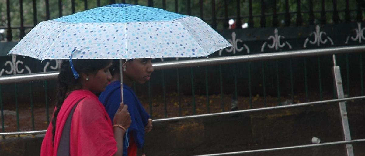 Heavy rains batter Ranga Reddy, Siddipet and Medak districts