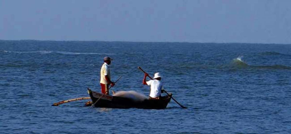 Sri Lankan Navy apprehends 20 Indian fishermen