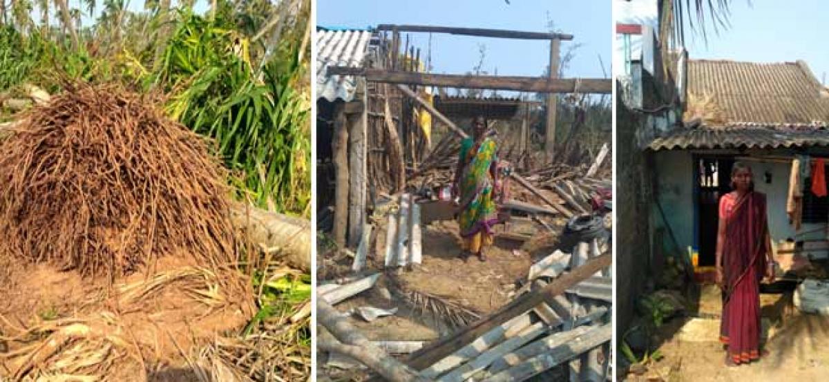 Nothing remained in Titli affected areas in Srikakulam
