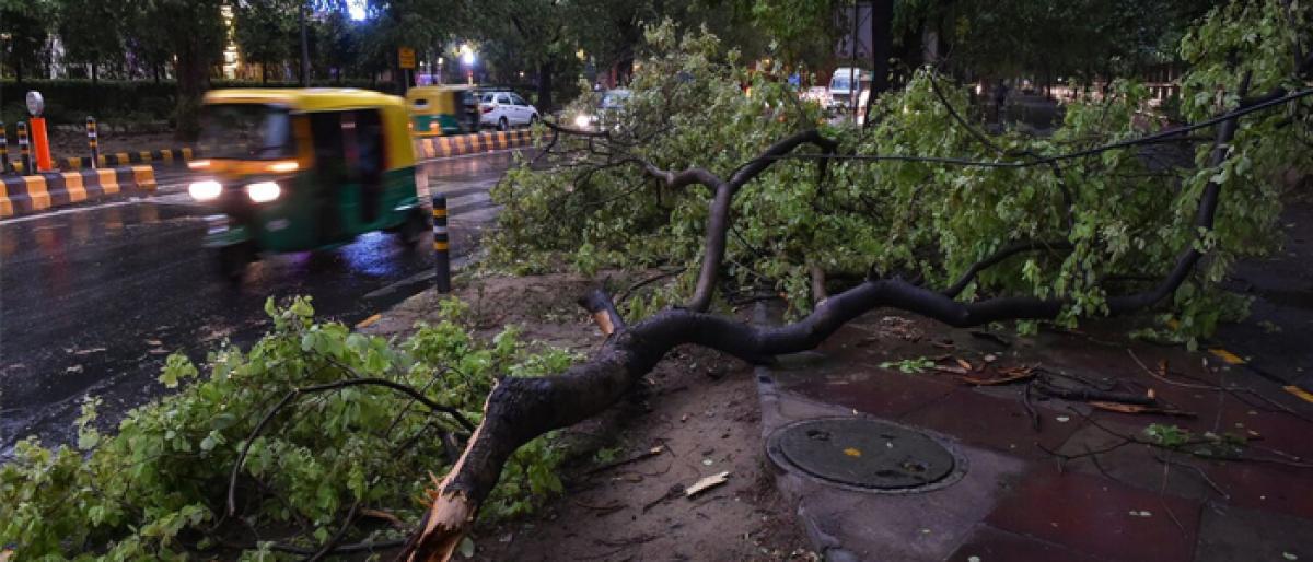 Metro Blue, Red Line Services Hit by Dust Storm